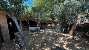 Un patio con un banco, árboles y un camino de ladrillos.