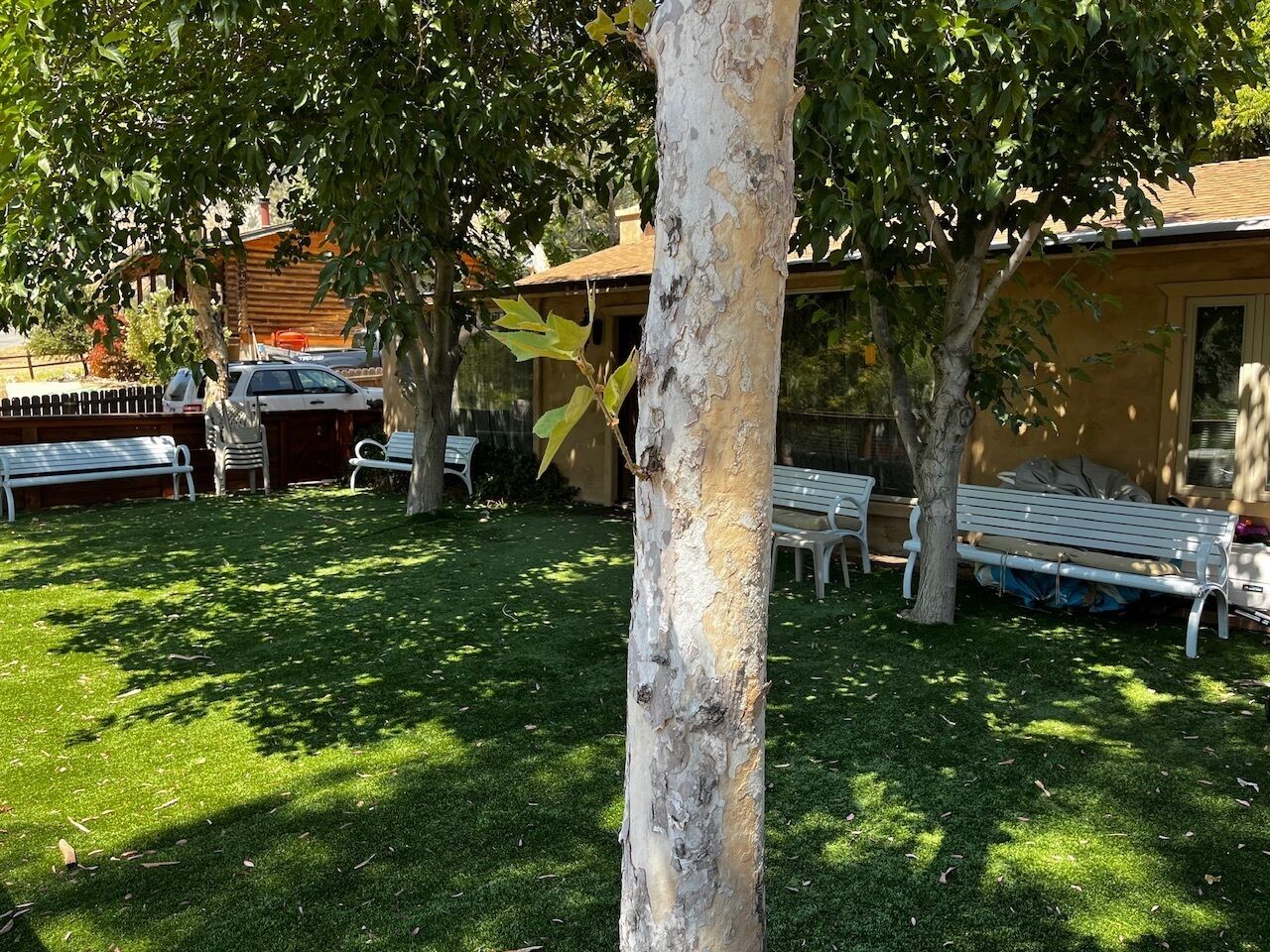 Áreas de la propiedad