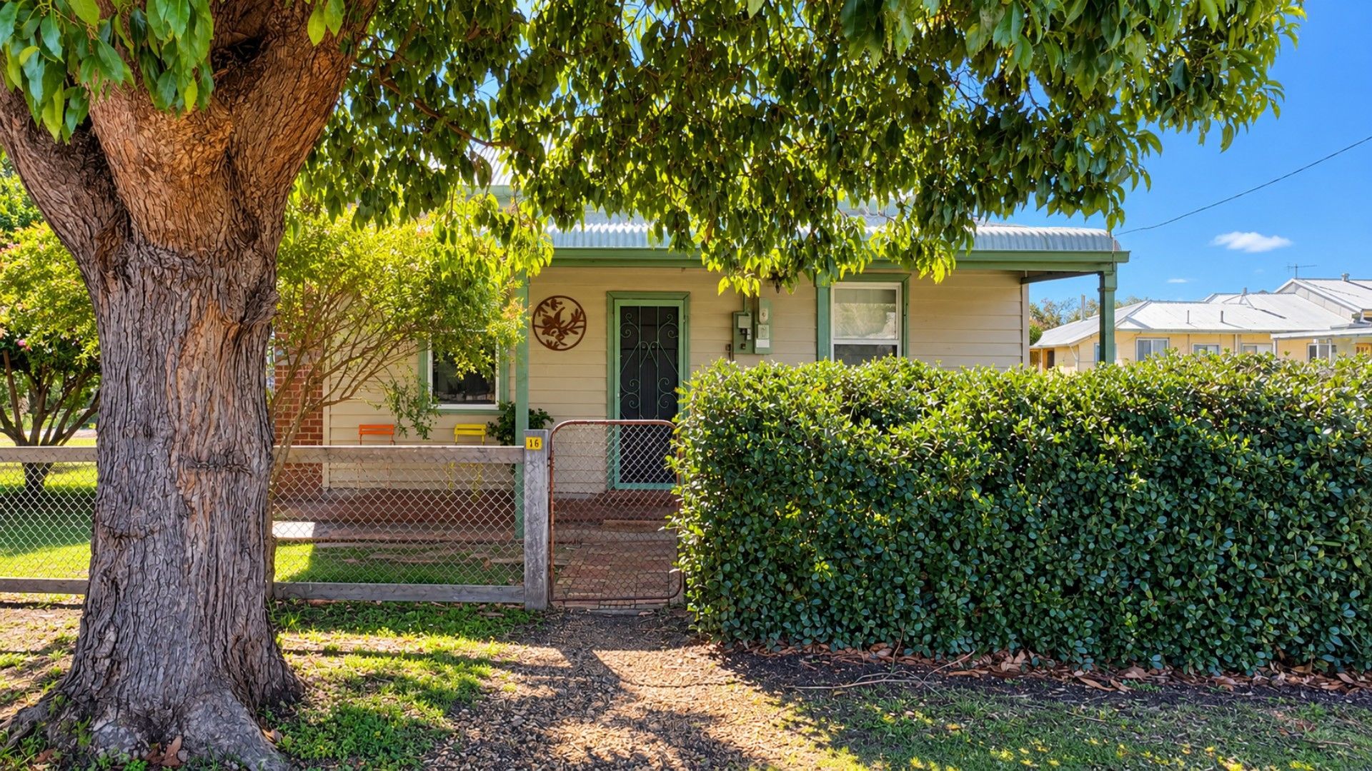 A residential property with a fenced yard, a large tree, and a well-maintained hedge.