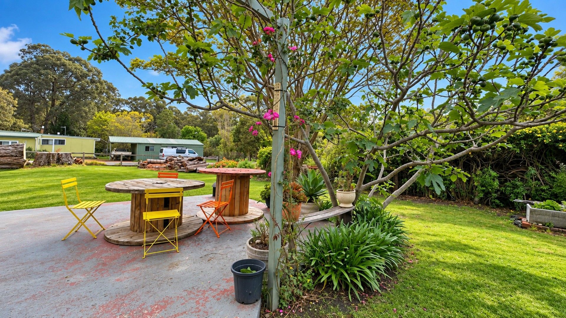 A patio with a wooden table and chairs, surrounded by greenery and a tree with pink flowers.