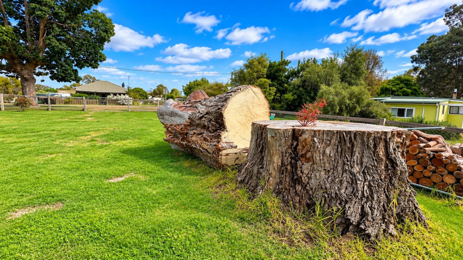 A grassy area with a large tree stump and a smaller stump with logs stacked beside it.