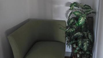 Una habitación de esquina con un sofá verde, piso de madera y una planta grande en maceta.