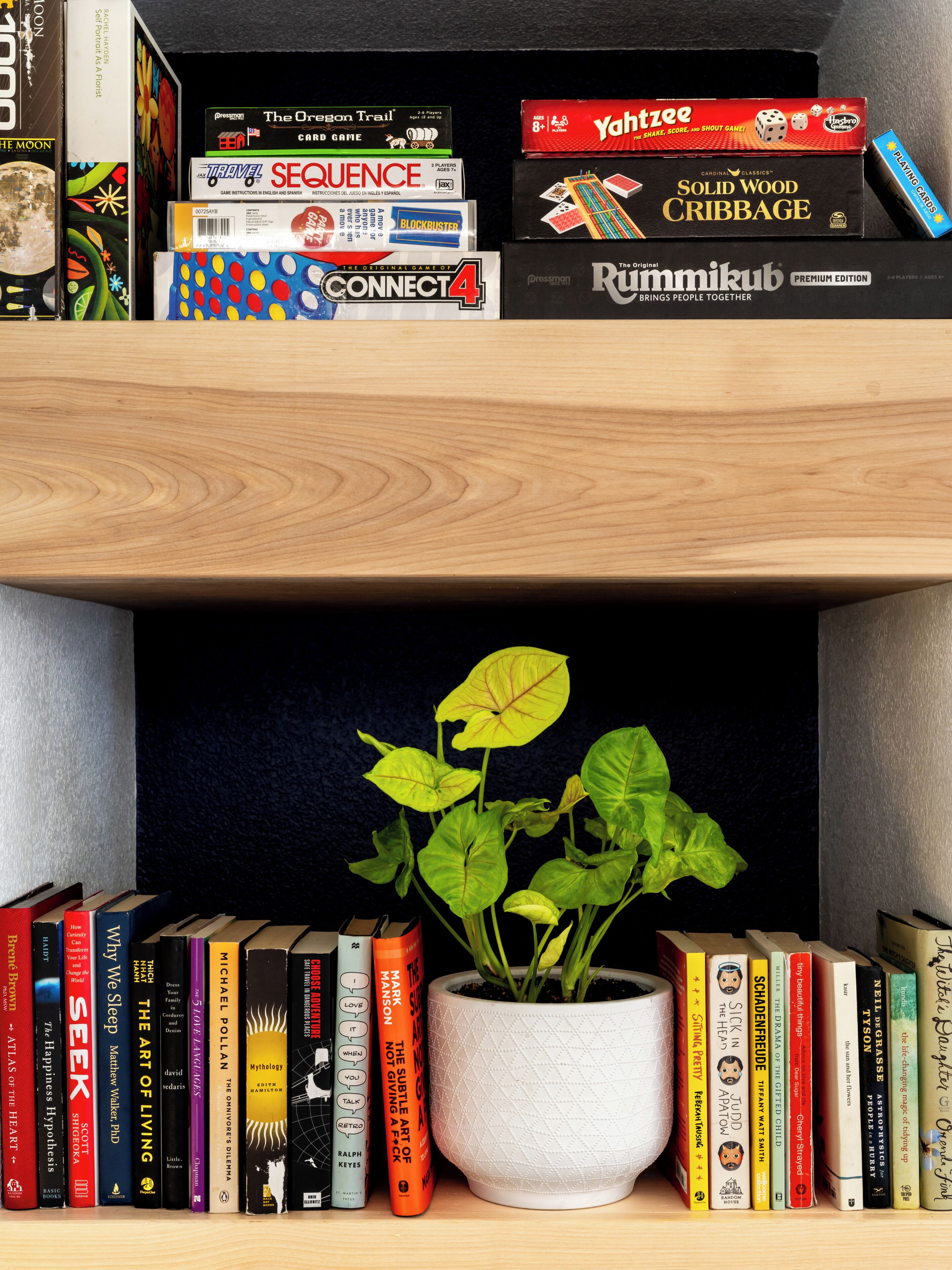 A bookshelf with various books and a potted plant.