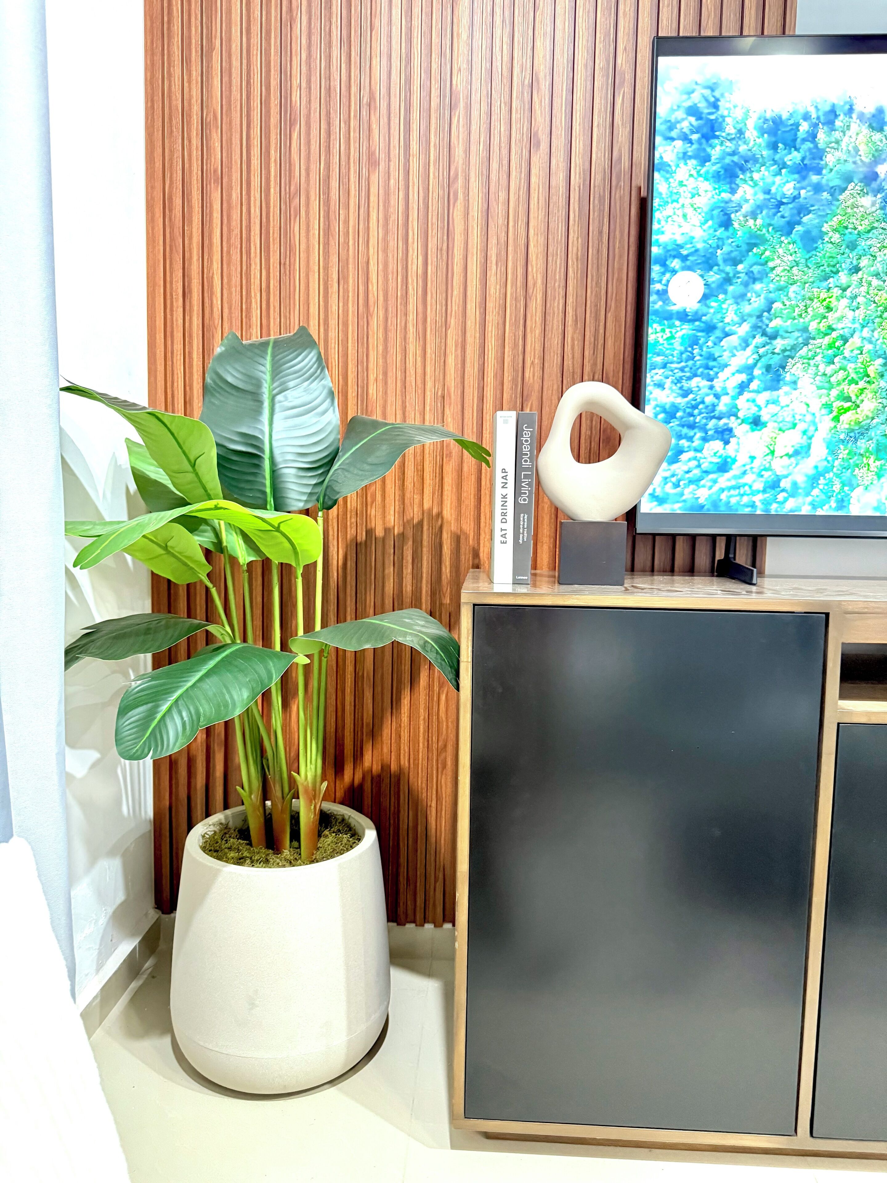 Una planta en maceta, un libro con el título 'EAT DRINK NAP' y un televisor moderno sobre un mueble de madera.