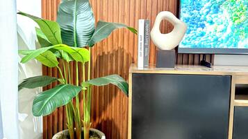 Habitación doble Deluxe | Televisión