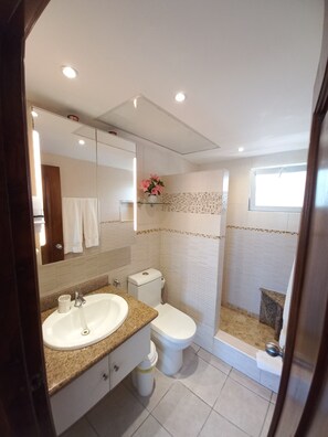 Shower, hair dryer, bidet, towels