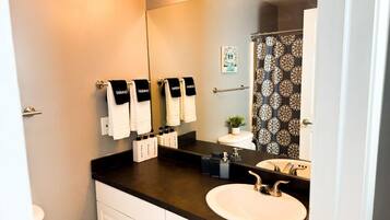 Assecador de cabells, tovalloles, sabó i xampú