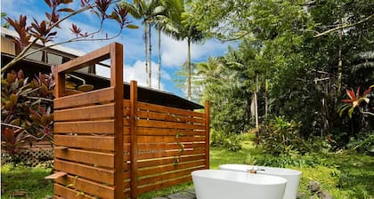 Tropical paradise 4-bedroom house in Pāhoa