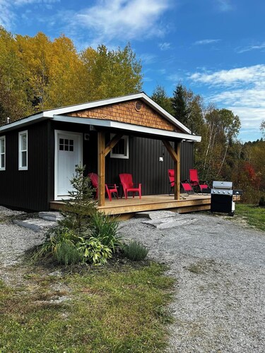 Relax at Cozy Cabin near Algonquin, 2 Bedroom,  WIFI, large yard w/firepit