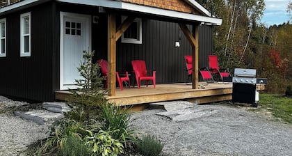 Relax at Cozy Cabin near Algonquin, 2 Bedroom, WIFI, large yard w/firepit
