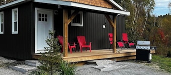 Relax at Cozy Cabin near Algonquin, 2 Bedroom, WIFI, large yard w/firepit