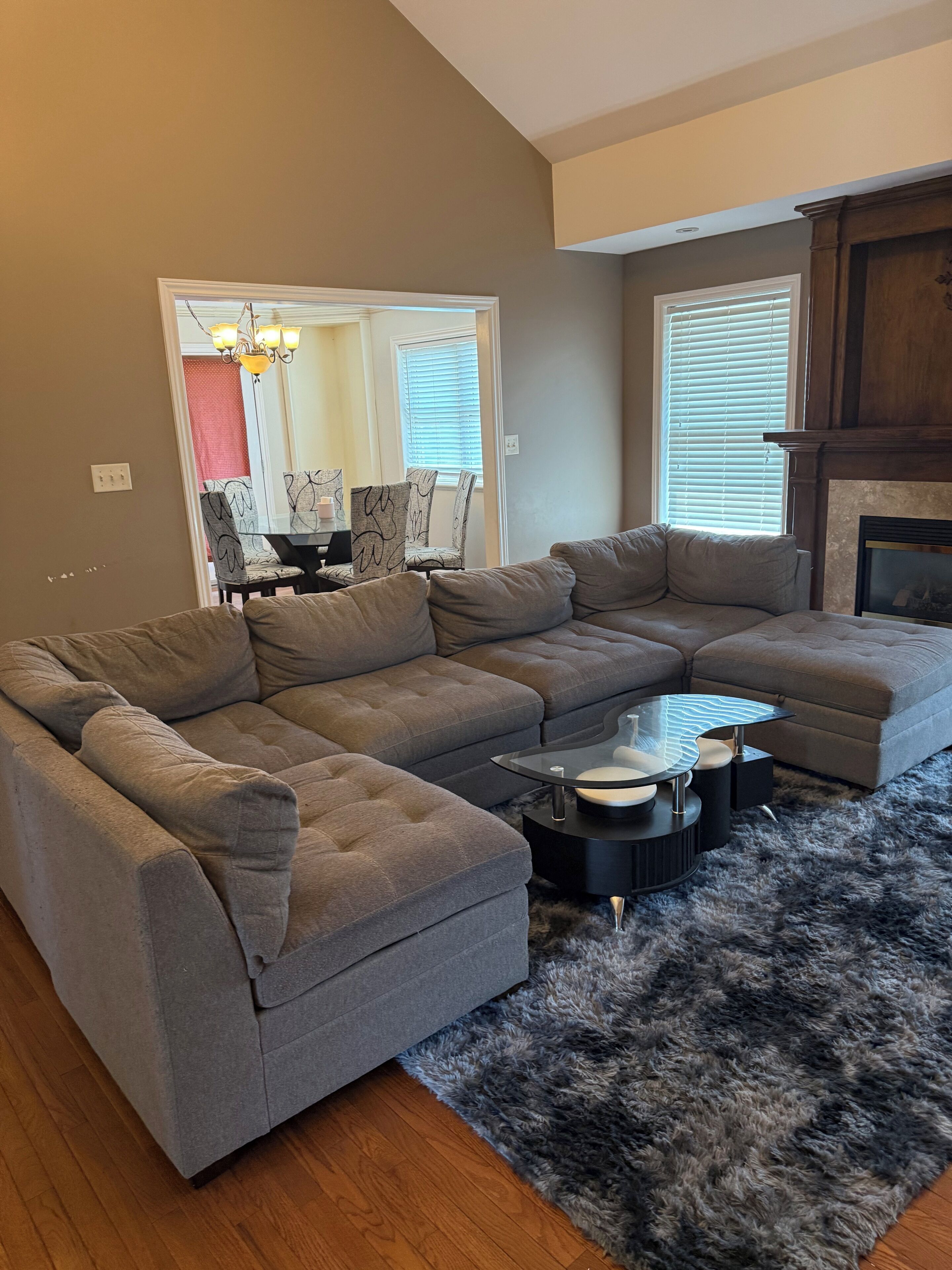 TV, fireplace, books