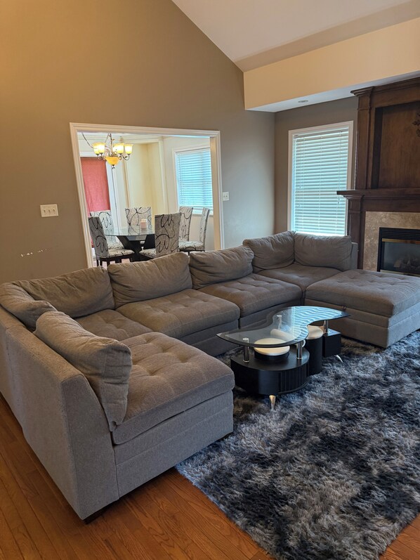 TV, fireplace, books