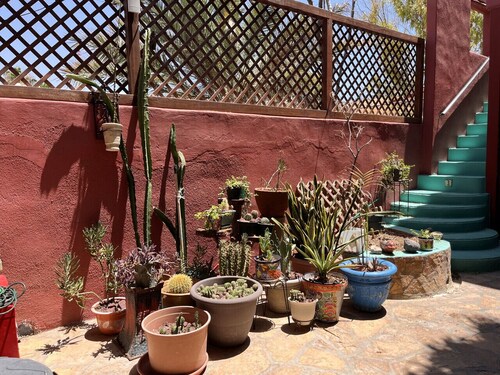 Dream 1. Jardin Tranquilo