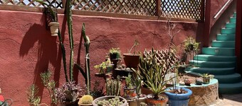 Dream 1. Jardin Tranquilo