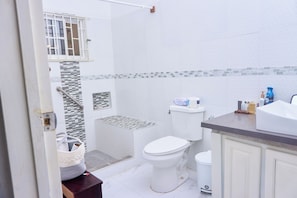 Hair dryer, towels, soap, toilet paper