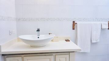 Assecador de cabells, tovalloles, sabó i paper higiènic