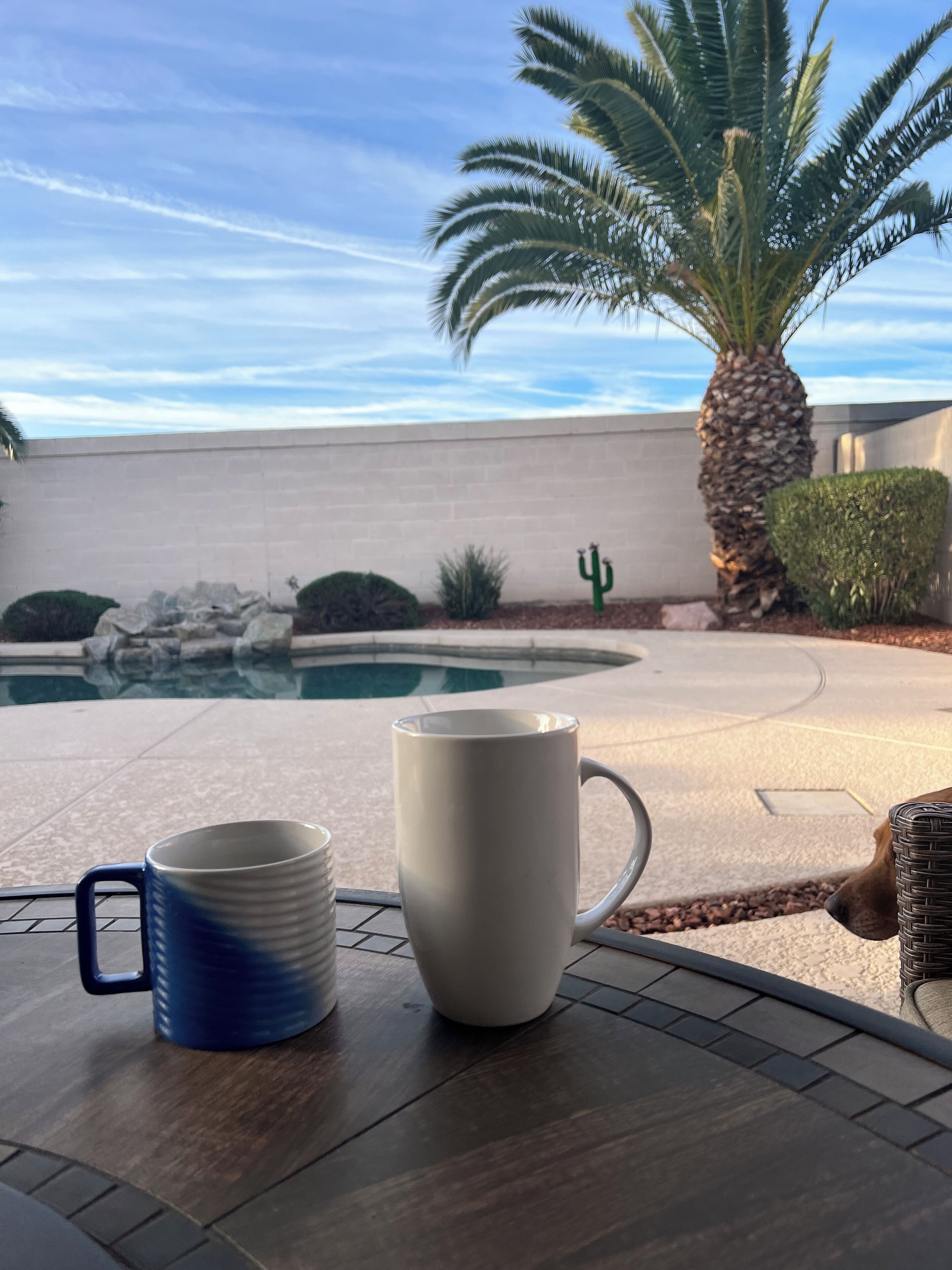 A patio with a pool, a palm tree, and two mugs on a table.
