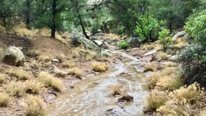 A natural landscape with a stream, trees, and rocky terrain.
