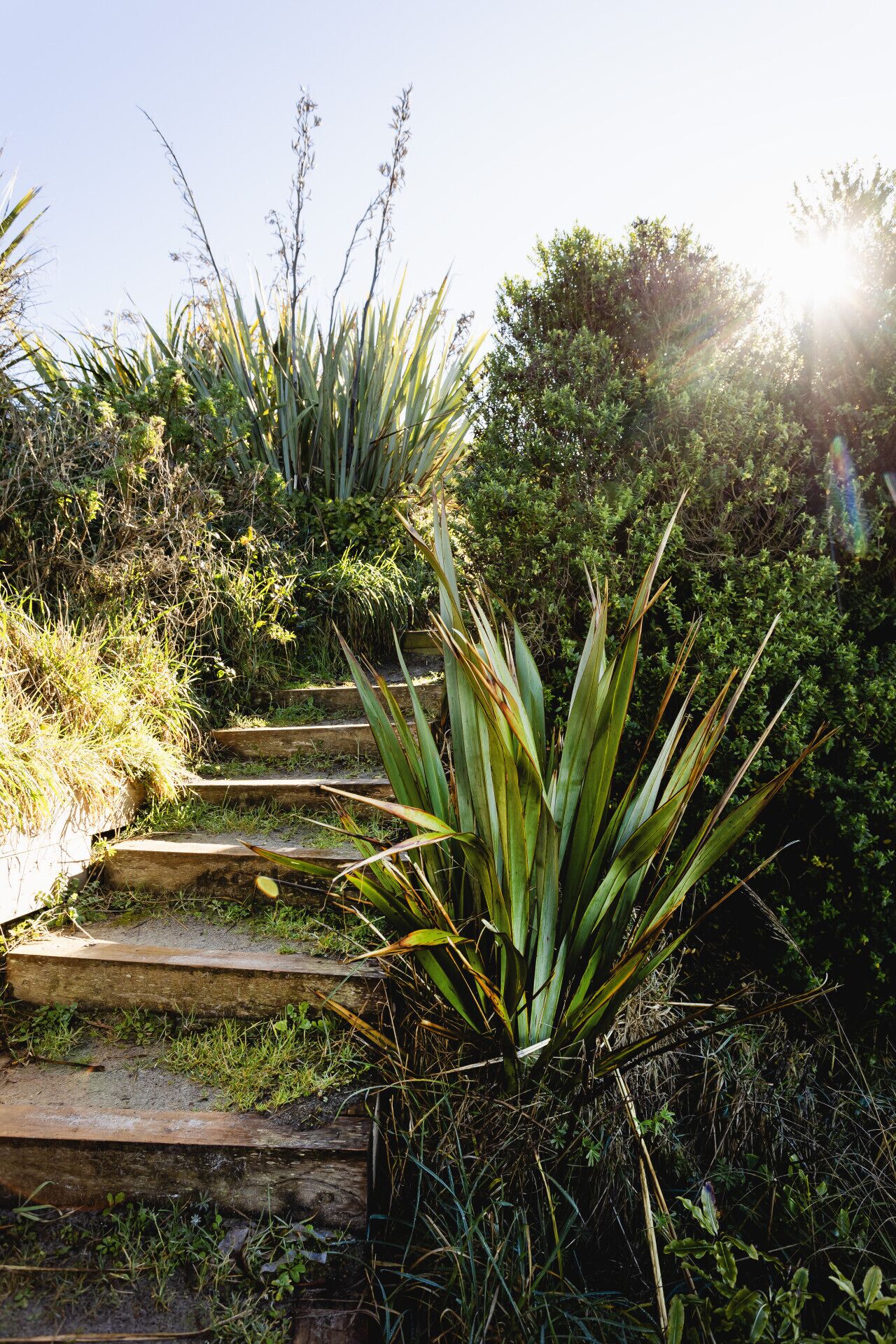 Overnatningsstedets område