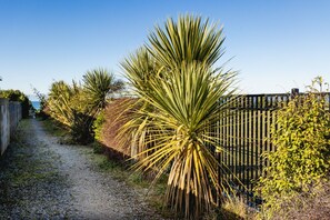 Ein Kiesweg, gesäumt von Yucca-Pflanzen und einem Holzzaun.