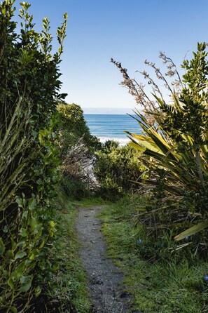 Camino costero que conduce al mar, rodeado de vegetación exuberante y un cielo azul despejado.
