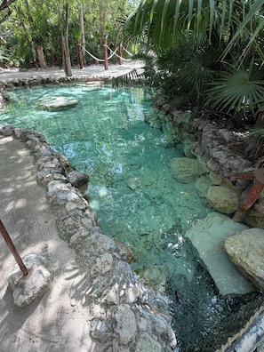 A clear water feature surrounded by rocks and vegetation. - Hidden Gem—Two Houses—Private Pool—Near the Beach (Puerto Morelos)