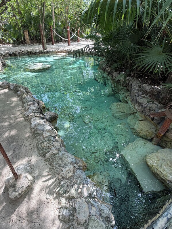 A clear water feature surrounded by rocks and vegetation.