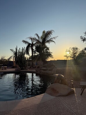 A swimming pool with palm trees and cacti, surrounded by rocks and a clear sky. - Horse Property 3-Bed plus office, 2 bath house, pool and spa (Wittmann)