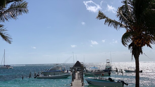 Un muelle de madera que llega a una playa con barcos amarrados, palmeras y un cielo azul despejado.