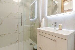 Shower, hair dryer, towels