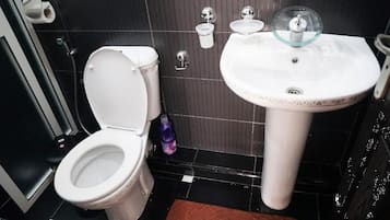 Serviettes fournies, savon, papier toilette