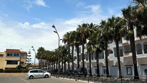 A parking lot with white lines and directional arrows, adjacent to a row of palm trees and a building with balconies.