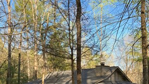 A rustic cabin with a porch, surrounded by tall trees.