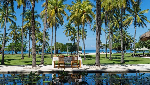 A tropical resort with a pool, palm trees, and a view of the ocean.