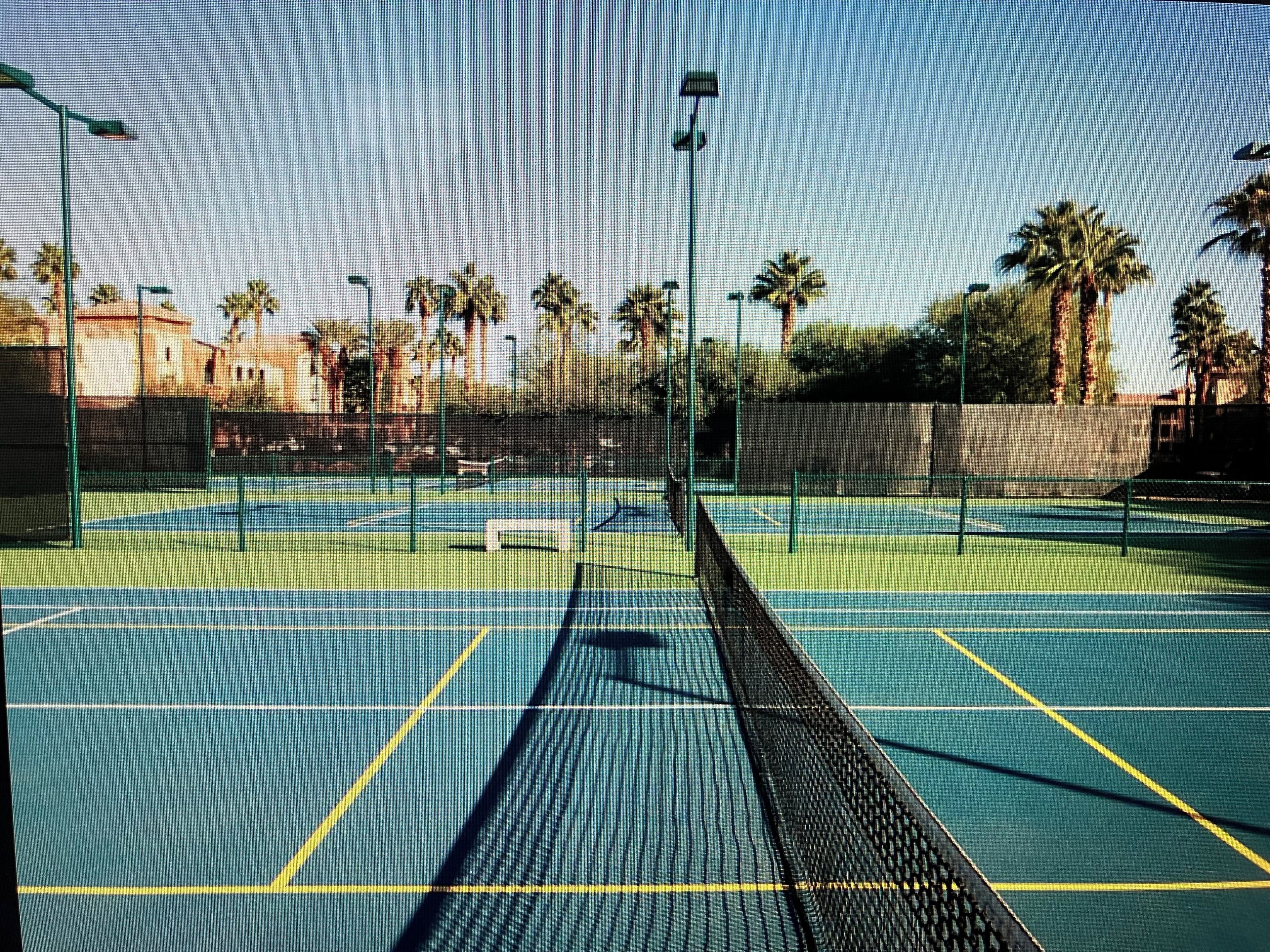 Ein Tennisplatz mit Netz, Spiellinien und umgebender Vegetation.