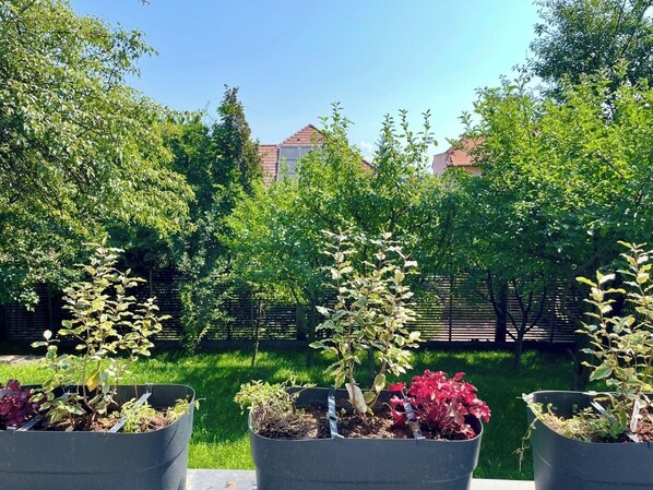 Boendeområde