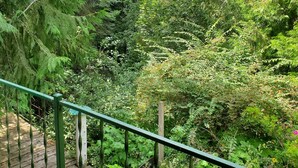 A balcony with a view of dense green foliage and a wooden deck. - Woodland Retreat in Spokane / Mead (Mead)