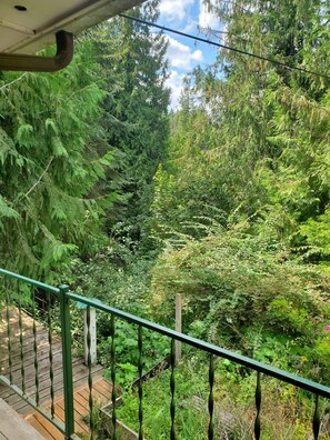 Property grounds - Woodland Retreat in Spokane / Mead (Mead)