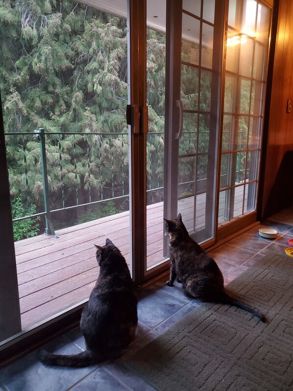 Interior - Woodland Retreat in Spokane / Mead (Mead)