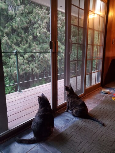 Woodland Retreat in Spokane / Mead