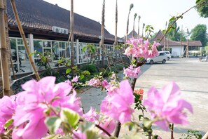 Free self-parking