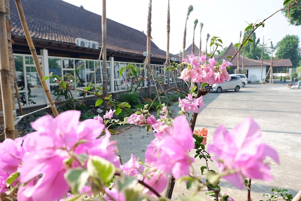 Parkir mandiri gratis