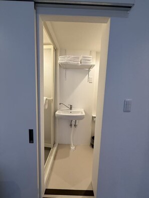 Shower, hair dryer, bidet, towels