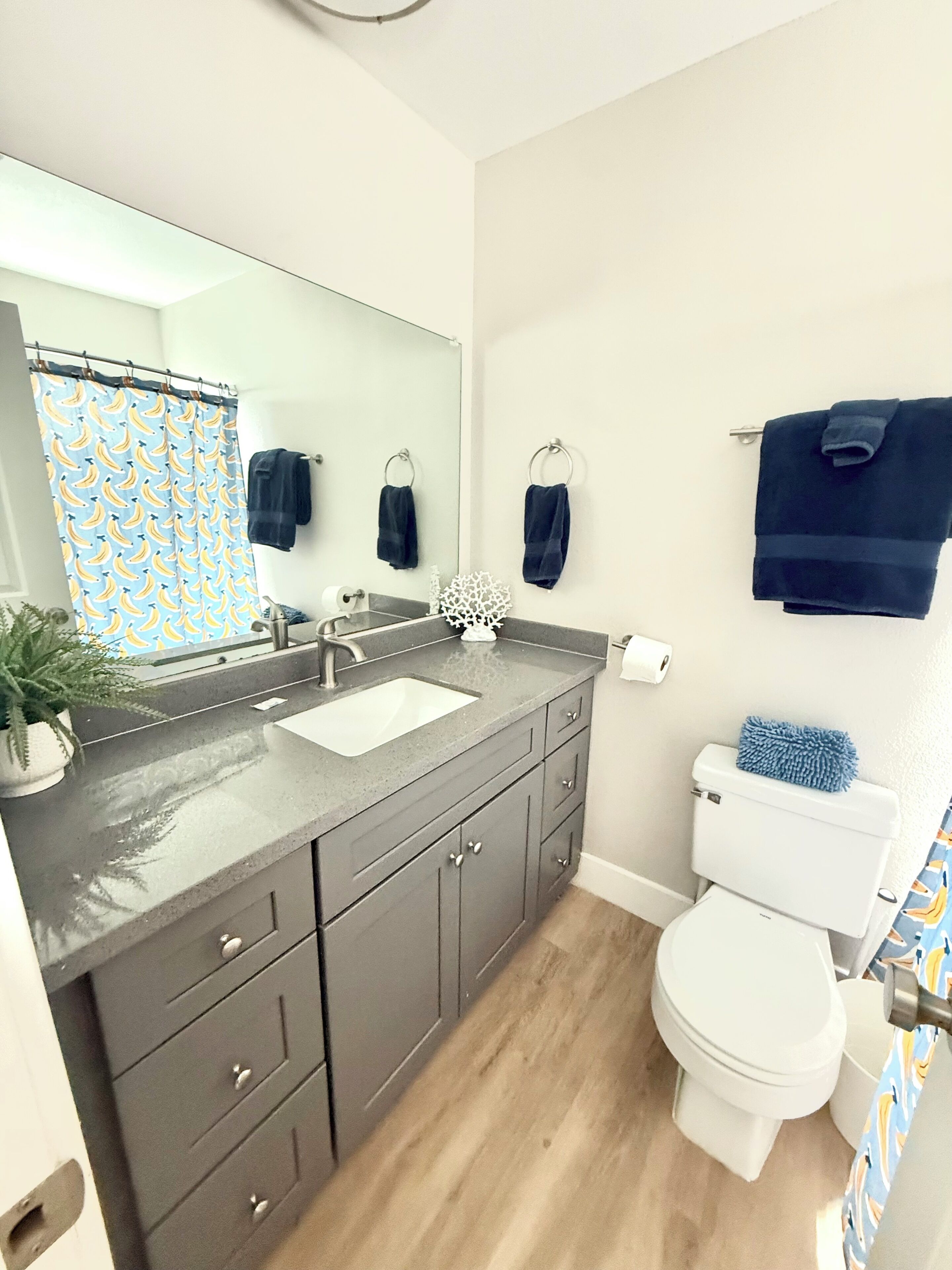 Doccia, asciugacapelli, asciugamani, carta igienica