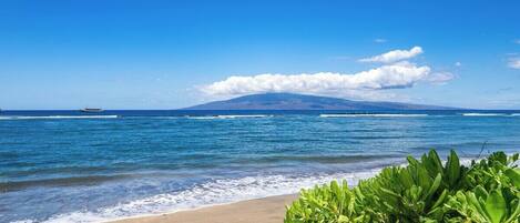 On the beach, sun-loungers, beach towels