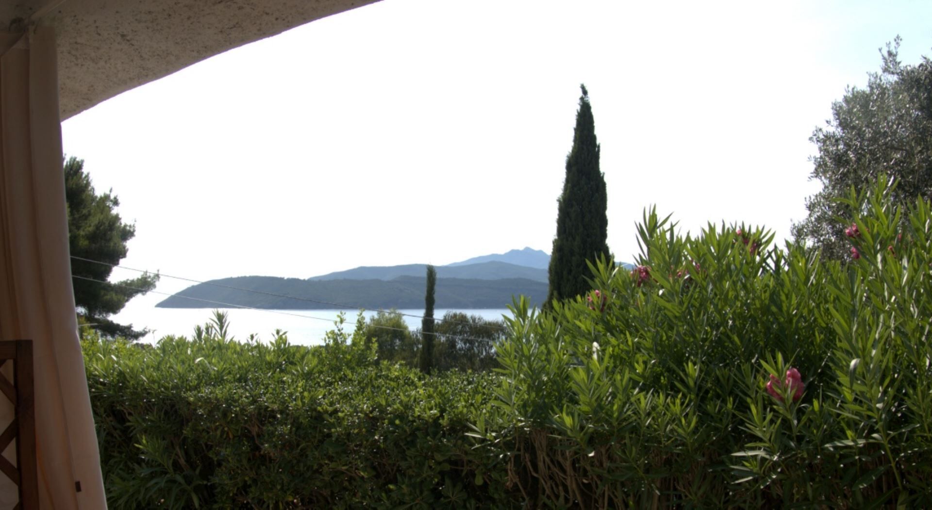 Une vue sur un lac, avec des montagnes en arrière-plan, entouré d’une végétation luxuriante et d’un grand cyprès.