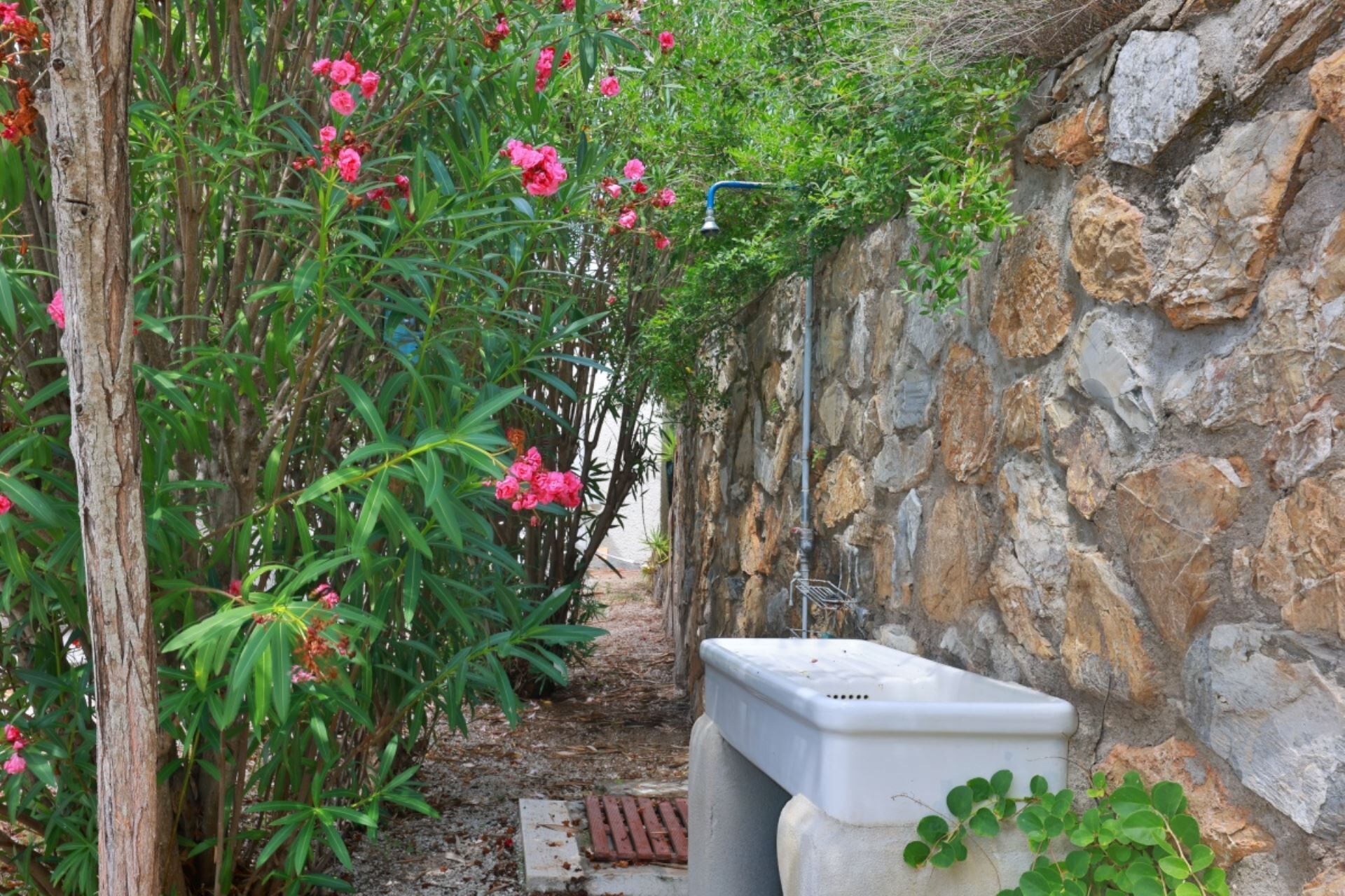 A narrow stone pathway flanked by lush greenery and pink flowers, leading to a white utility box.