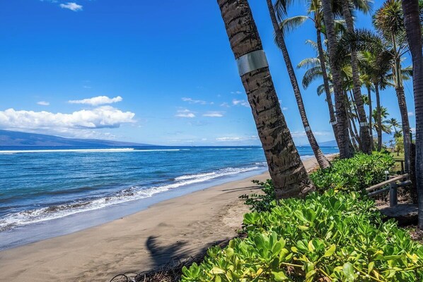 On the beach, sun loungers, beach towels