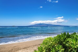 A beach with clear blue water, a sandy shore, and green vegetation in the foreground. - SUMMER SALE! Beachfront Remodeled Studio Stunning Views - Lahaina Shores 607 (Lahaina)